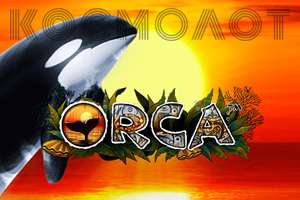 Orca